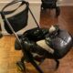 DUNA STROLLER AND CAR SEAT